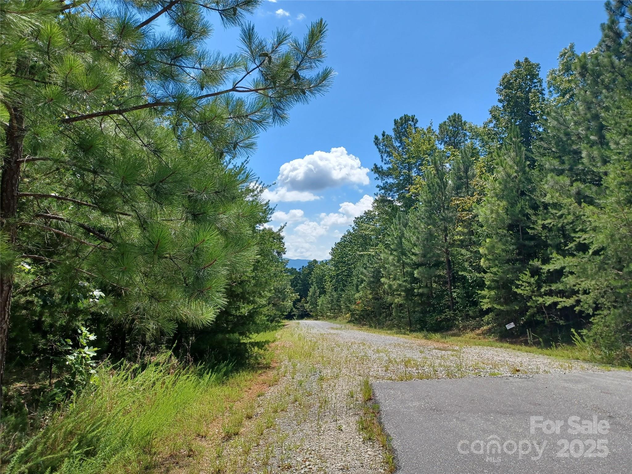 Blackberry Creek - Land