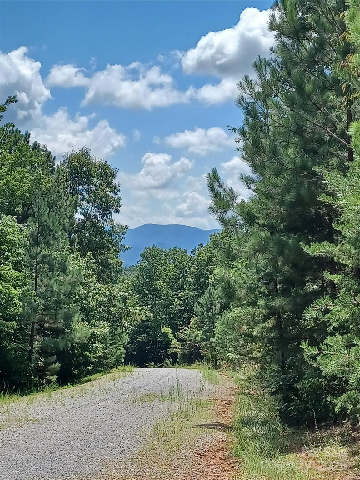 Blackberry Creek - Land