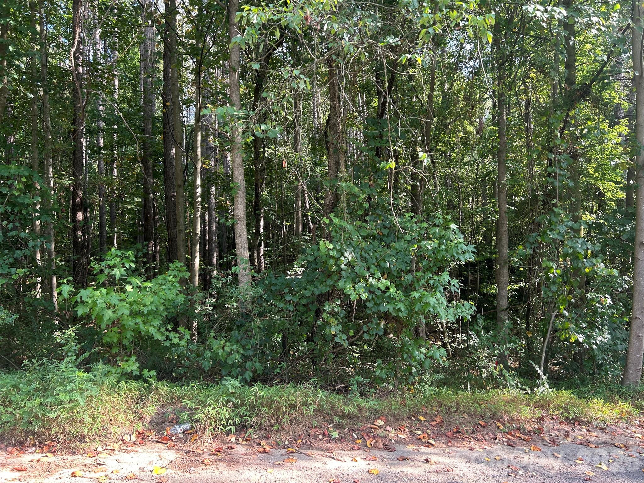 00 Knottywood Lane 25