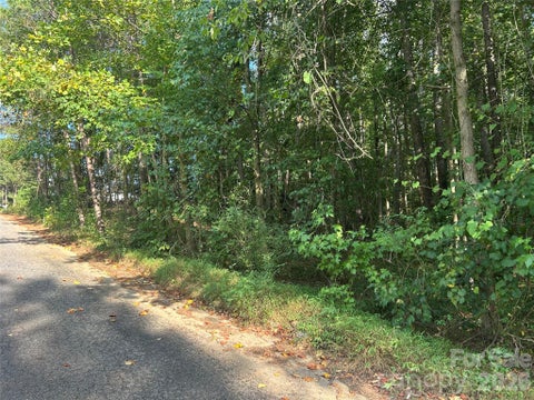 Photo of 00 Knottywood Lane #25, Vale, NC 28168 (MLS # 4402600)