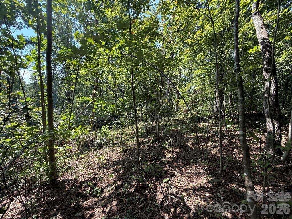 256 Burge Mountain Road