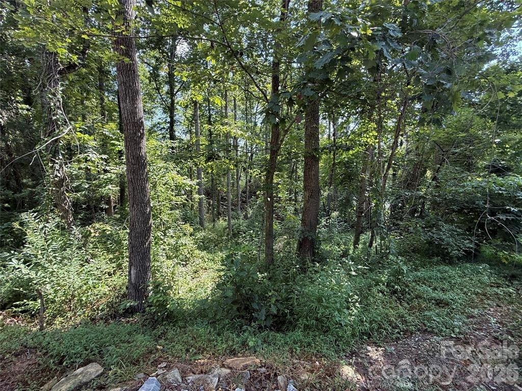 256 Burge Mountain Road
