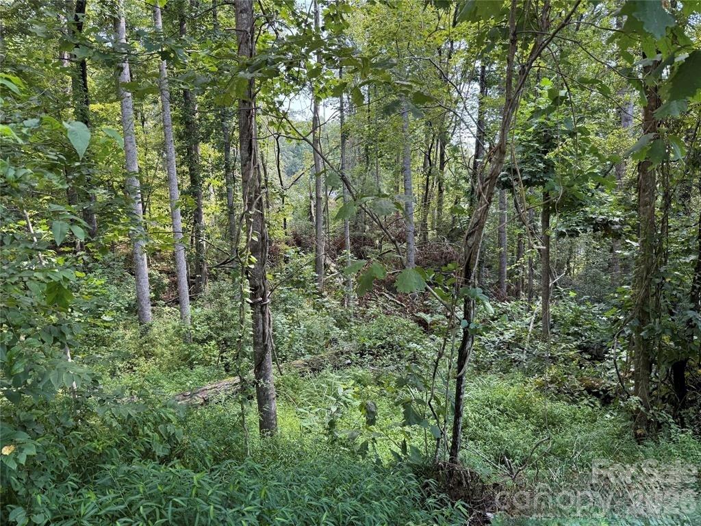 256 Burge Mountain Road