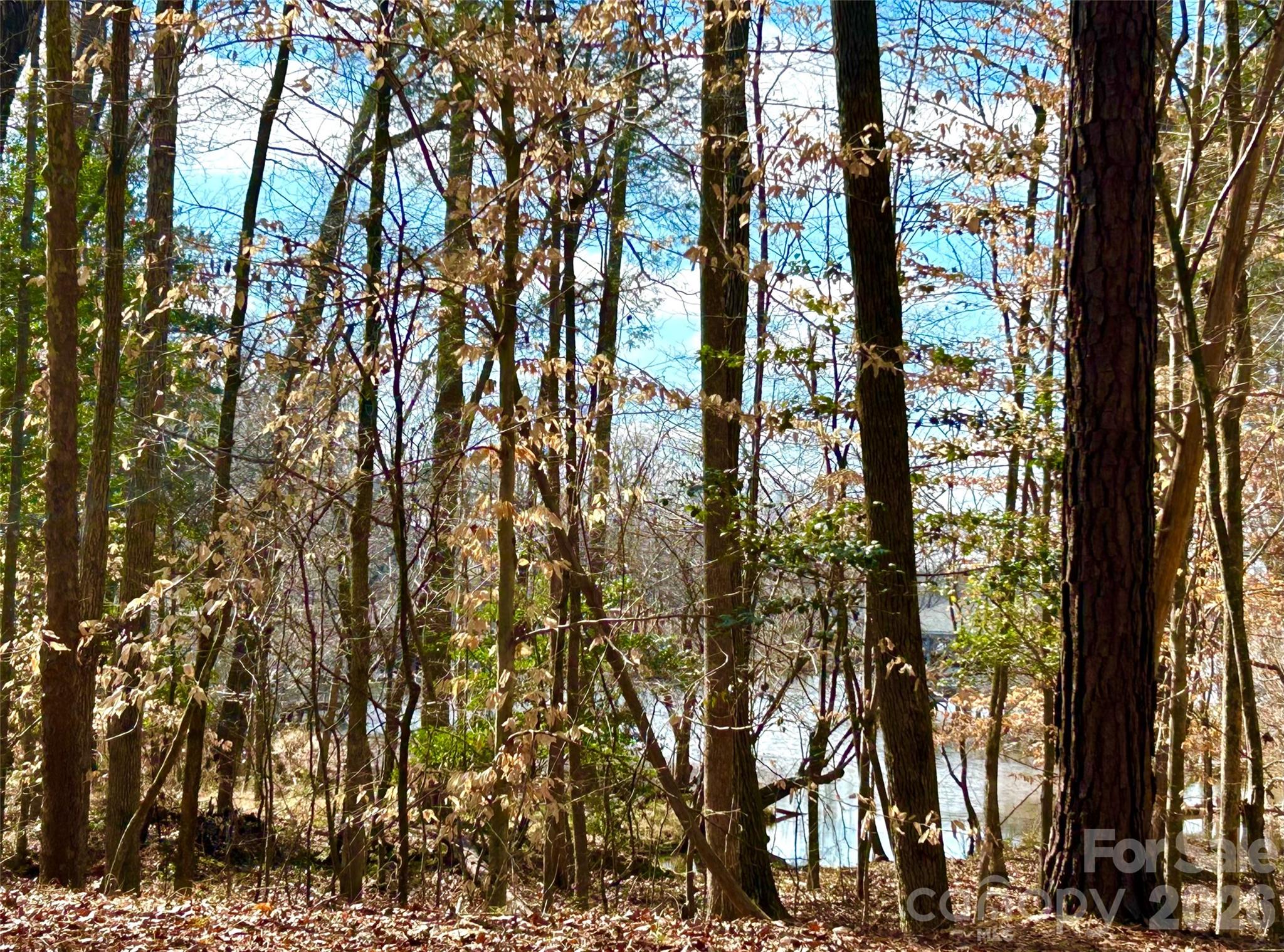 Swift Island Plantation - Residential