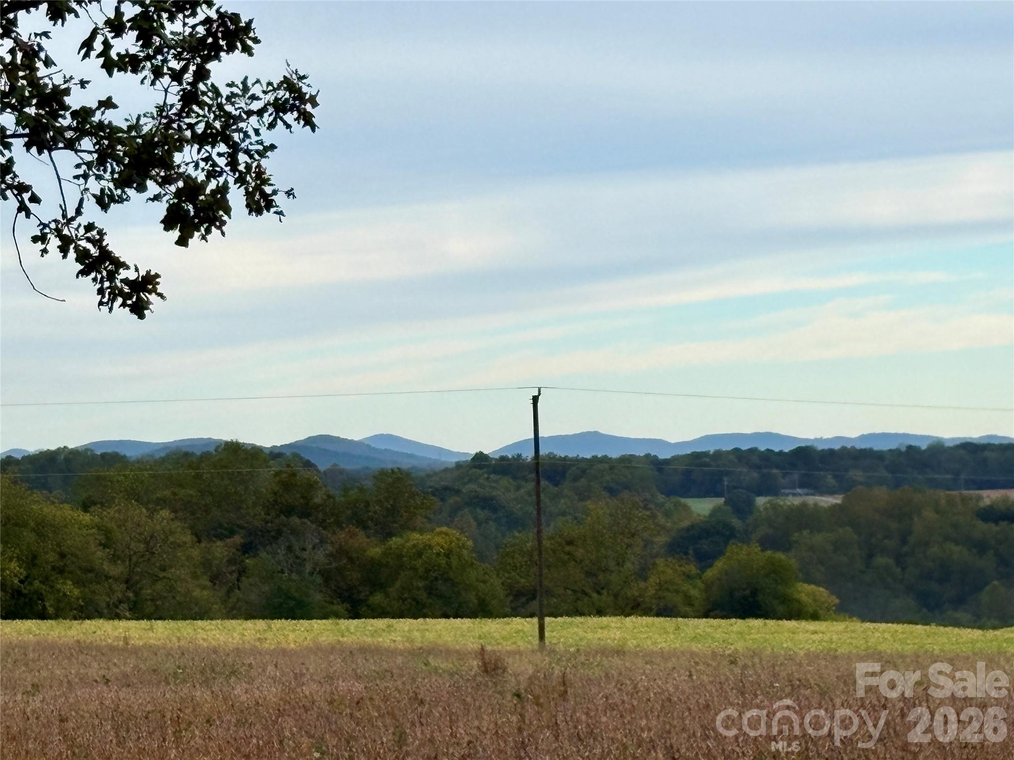 292 Williamsburg Road