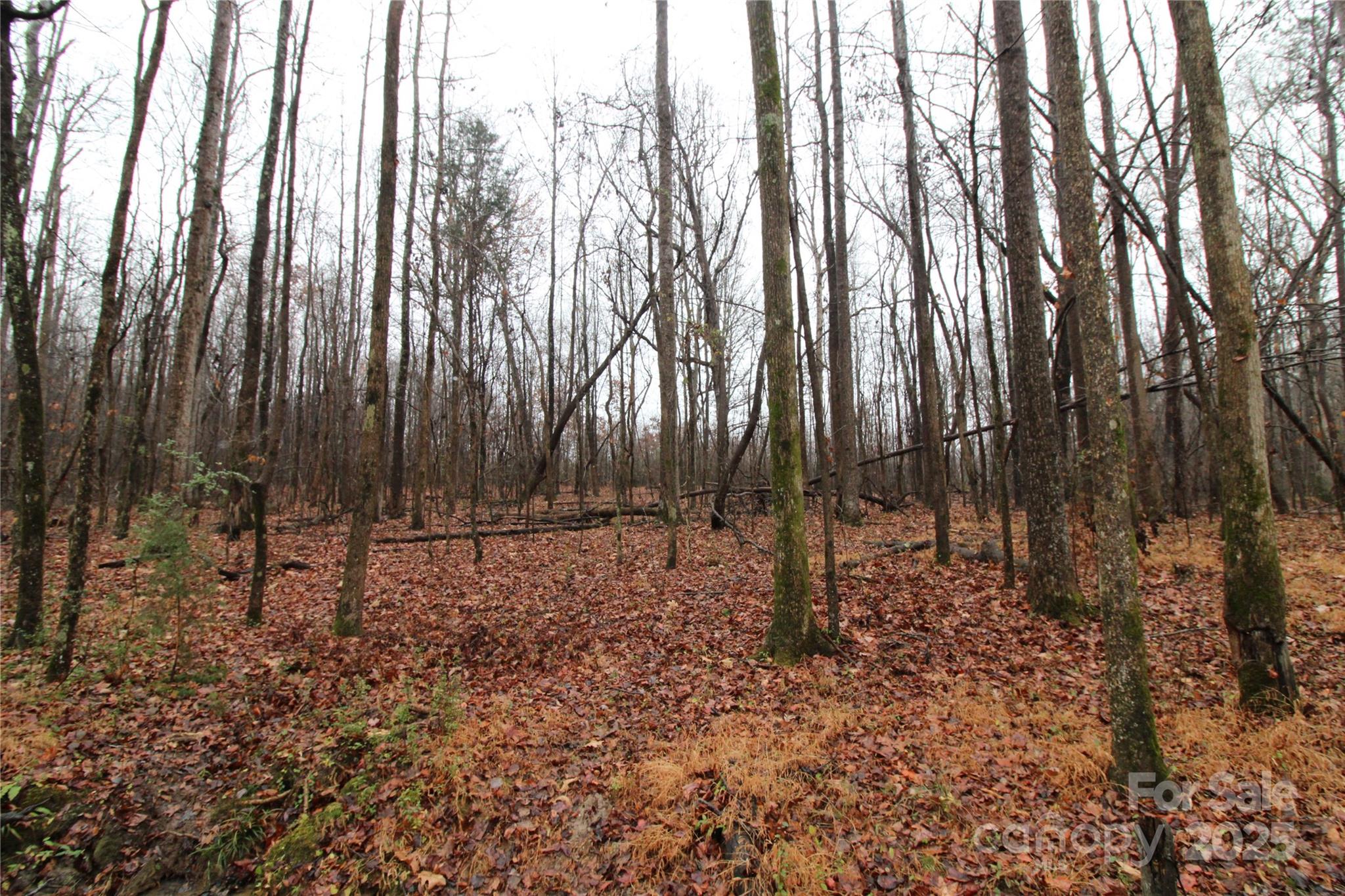 4+/-AC LOT 2 Eaker Road