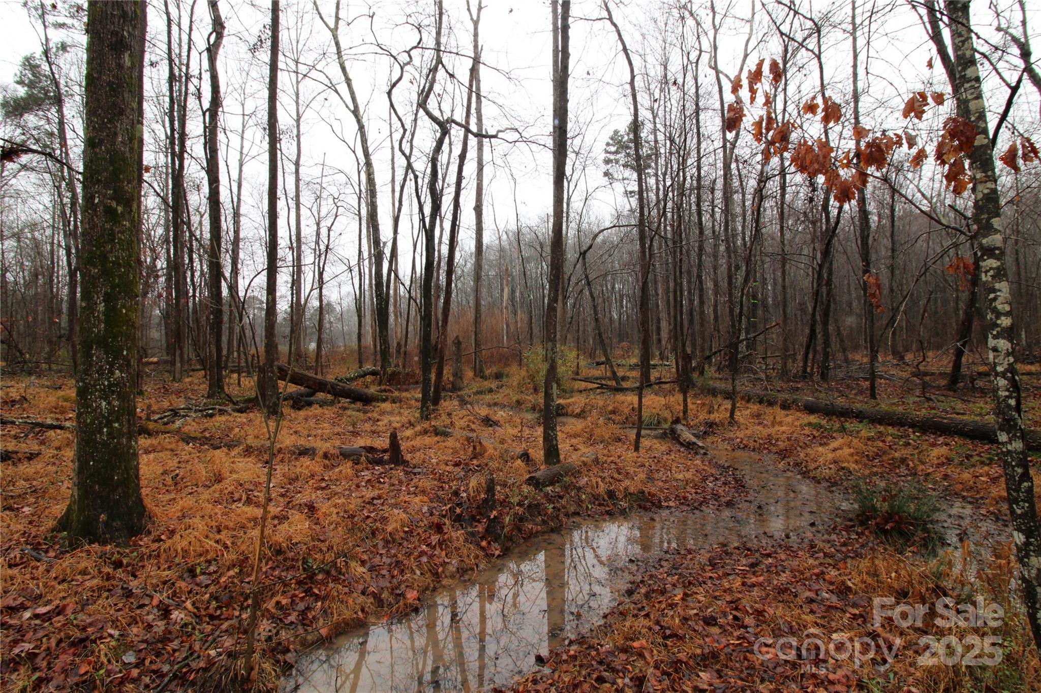 4+/-AC LOT 2 Eaker Road