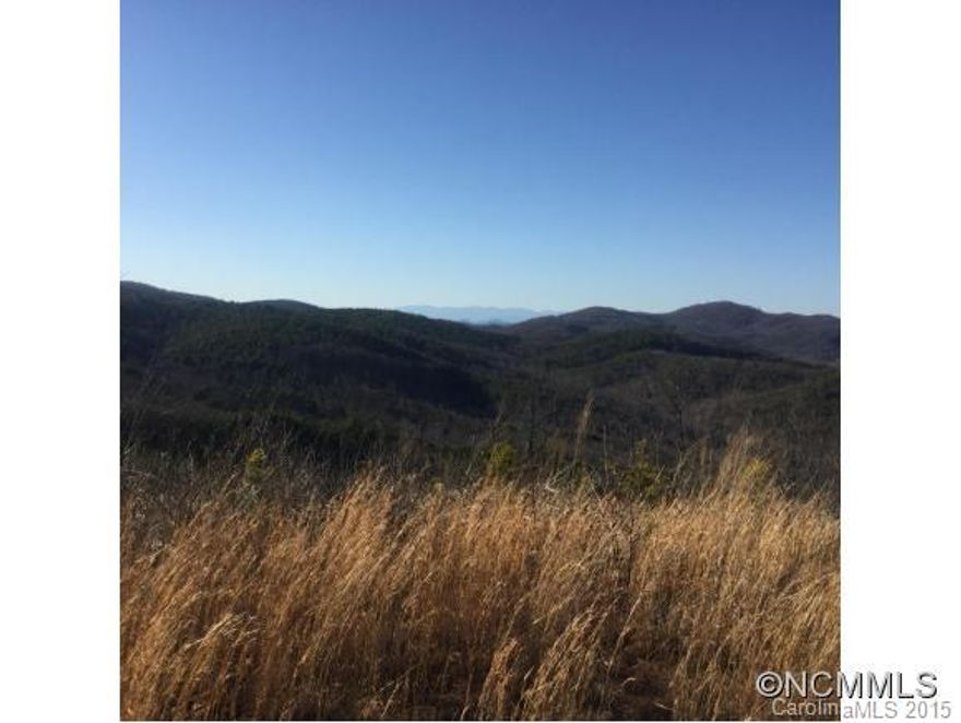 What an incredible piece of property. You can ride your horse all day and never leave your property. This parcel includes 2 spring fed ponds, miles of trails and dirt roads, incredible mountain views in every direction, pasture and forest. 30 minutes from Tryon International Equestrian Center. 1 hour and 10 minutes from Charlotte and Greenville SC airports. 25 minutes from Rutherford airport.