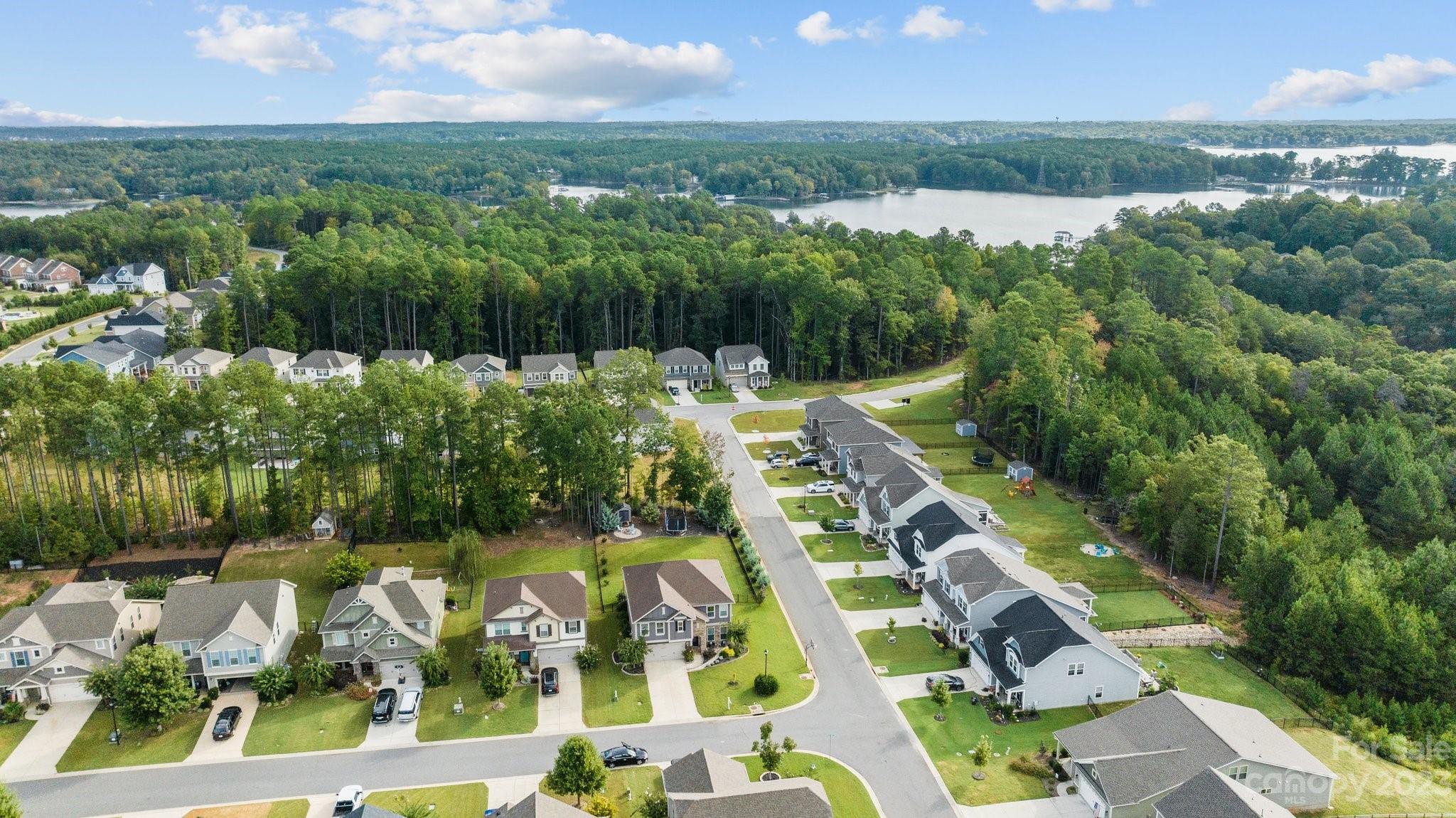 Palm Tree Cove II - Residential