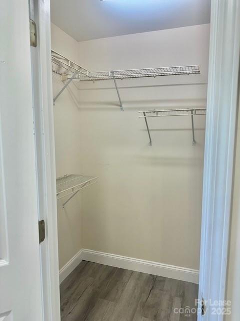 Shelton - Residential Lease