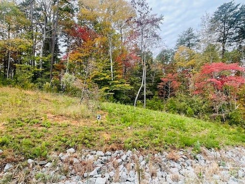 Photo of 0 Enchanted Way #1, Denver, NC 28037 (MLS # 4290593)
