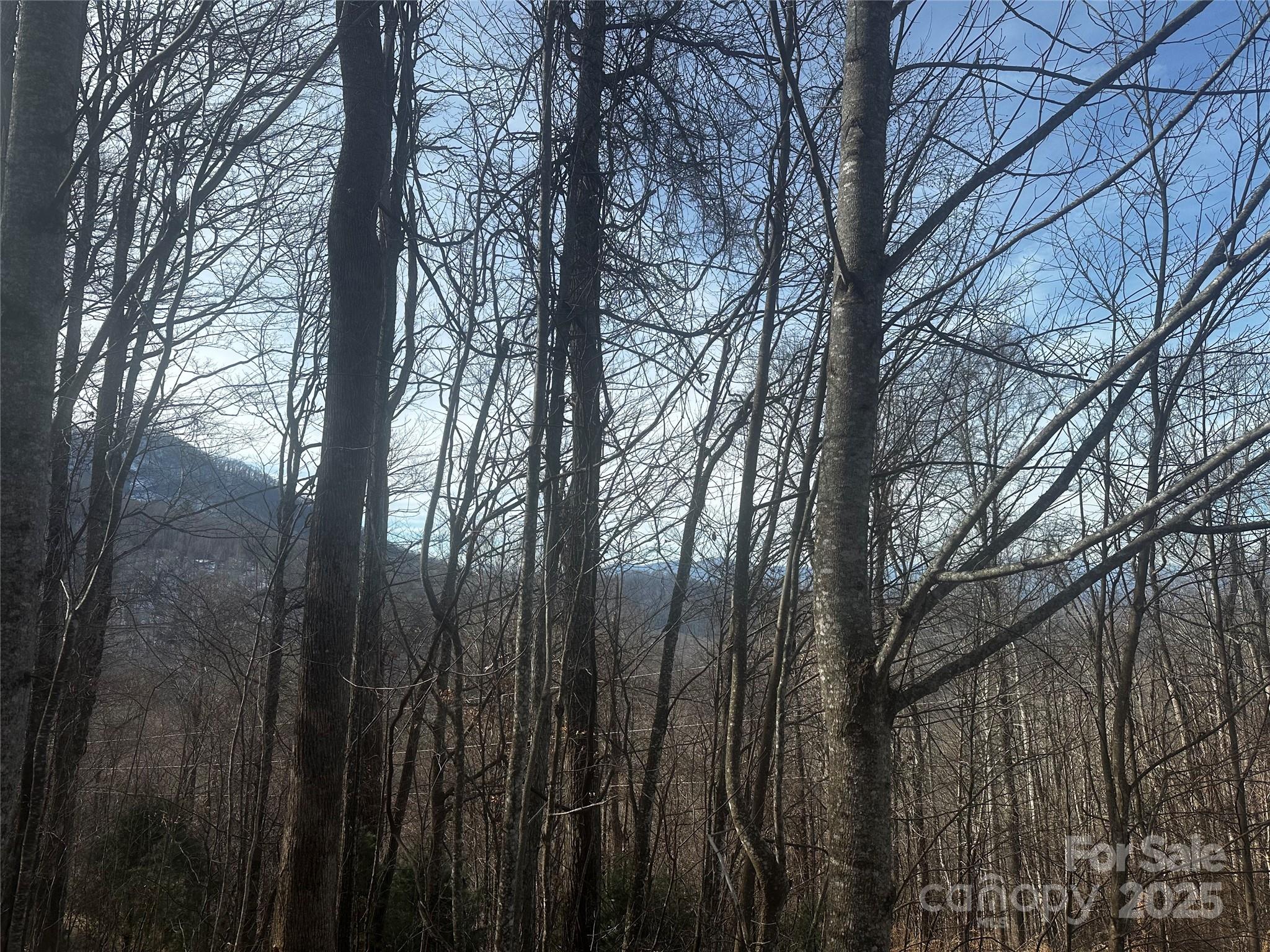 0 Wild Turkey Road 21