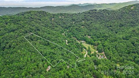 99999 Vance Gap Road Asheville NC 28805