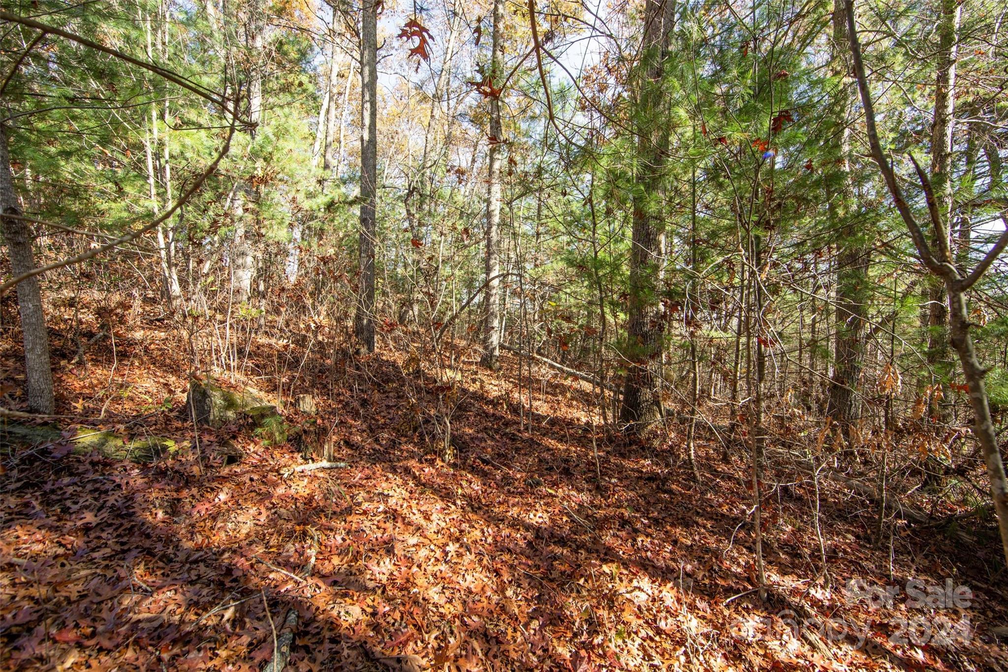 Winfield Cove - Land