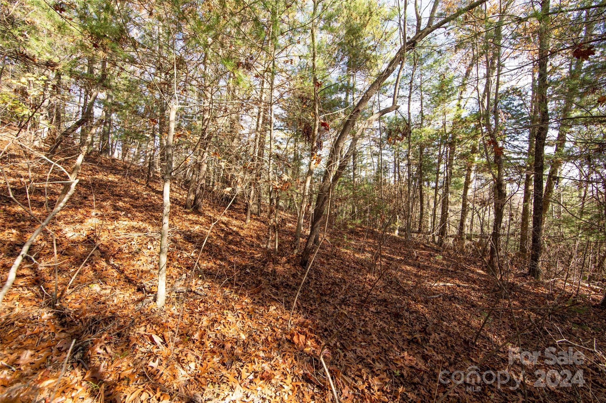 Winfield Cove - Land