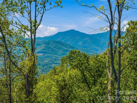 Photo of 135 Starling Pass, Asheville, NC 28804 (MLS # 4374206)