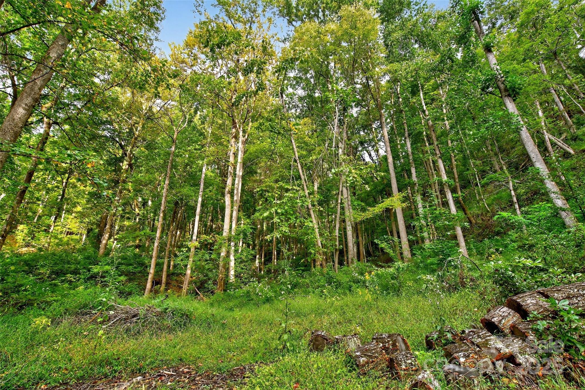99999 Rocky Branch Trail