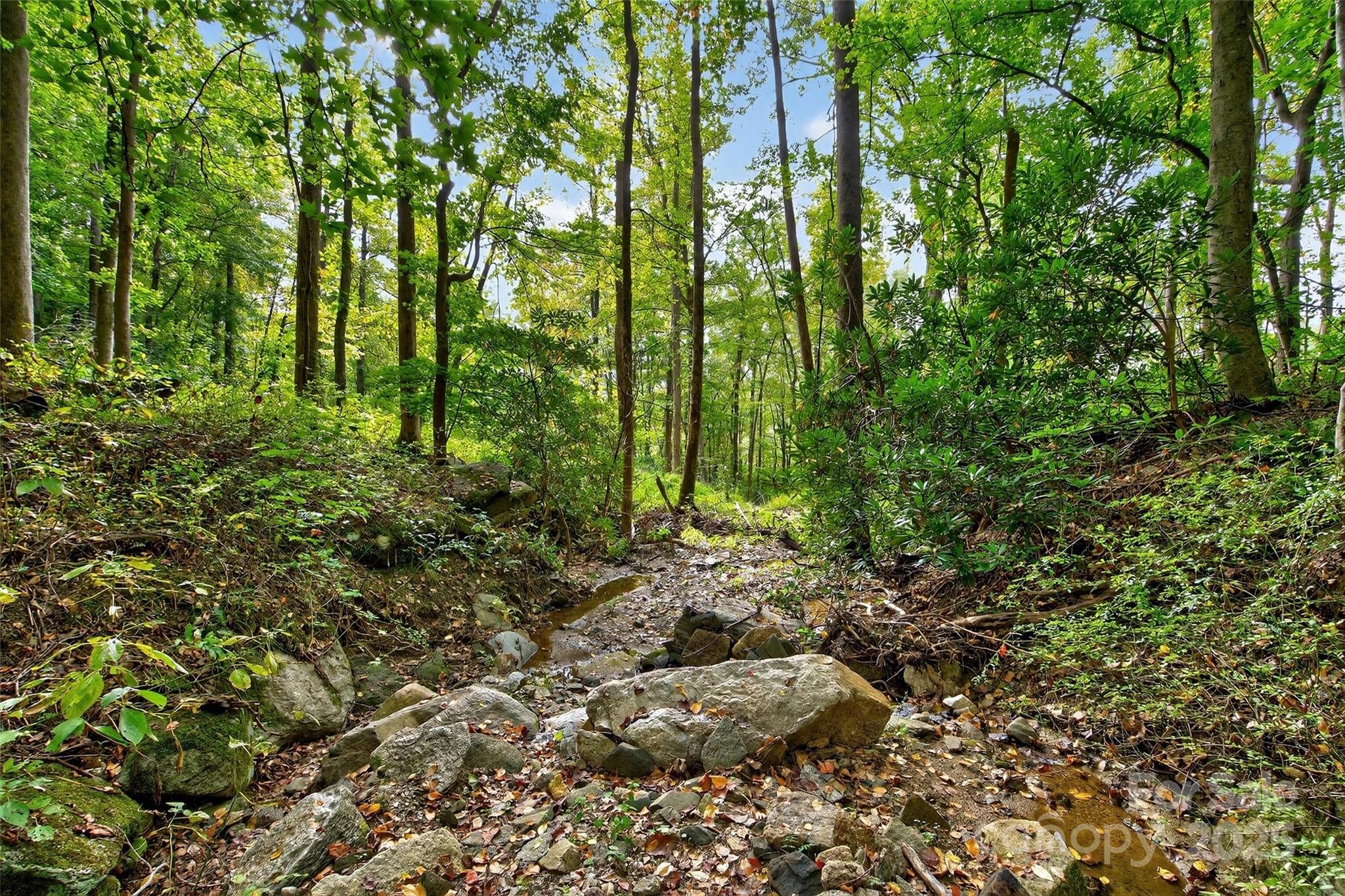 Linville Falls Mountain Club and Preserve - Land