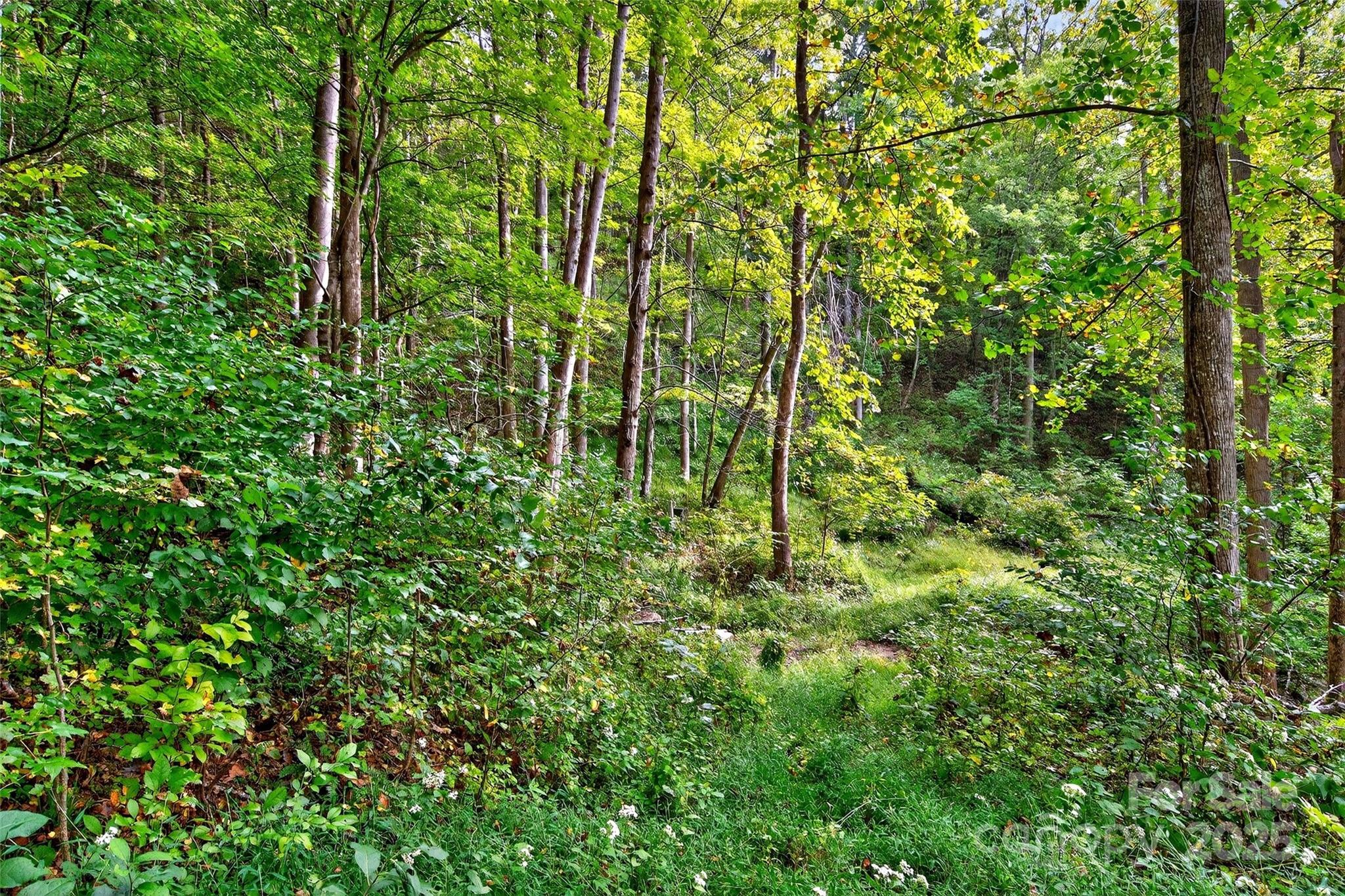 Linville Falls Mountain Club and Preserve - Land