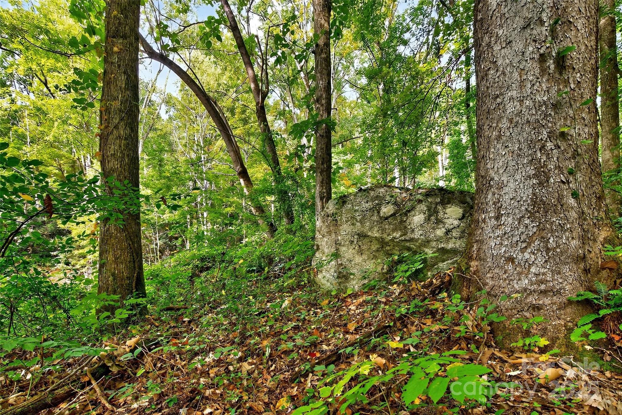 Linville Falls Mountain Club and Preserve - Land
