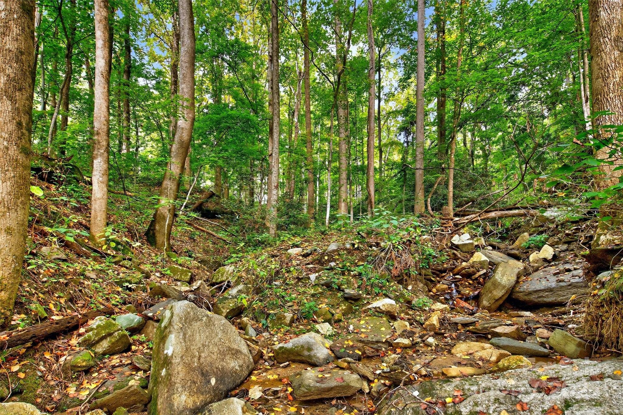 Linville Falls Mountain Club and Preserve - Land