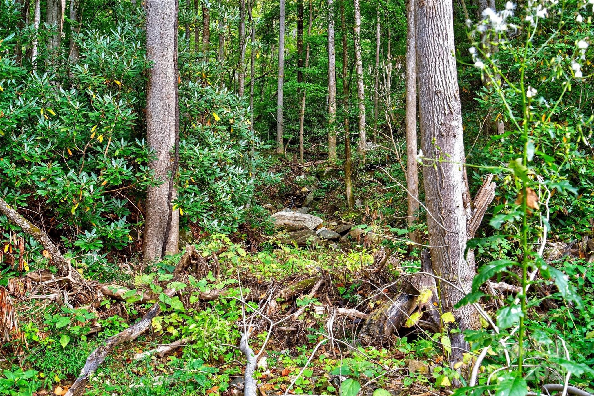 Linville Falls Mountain Club and Preserve - Land
