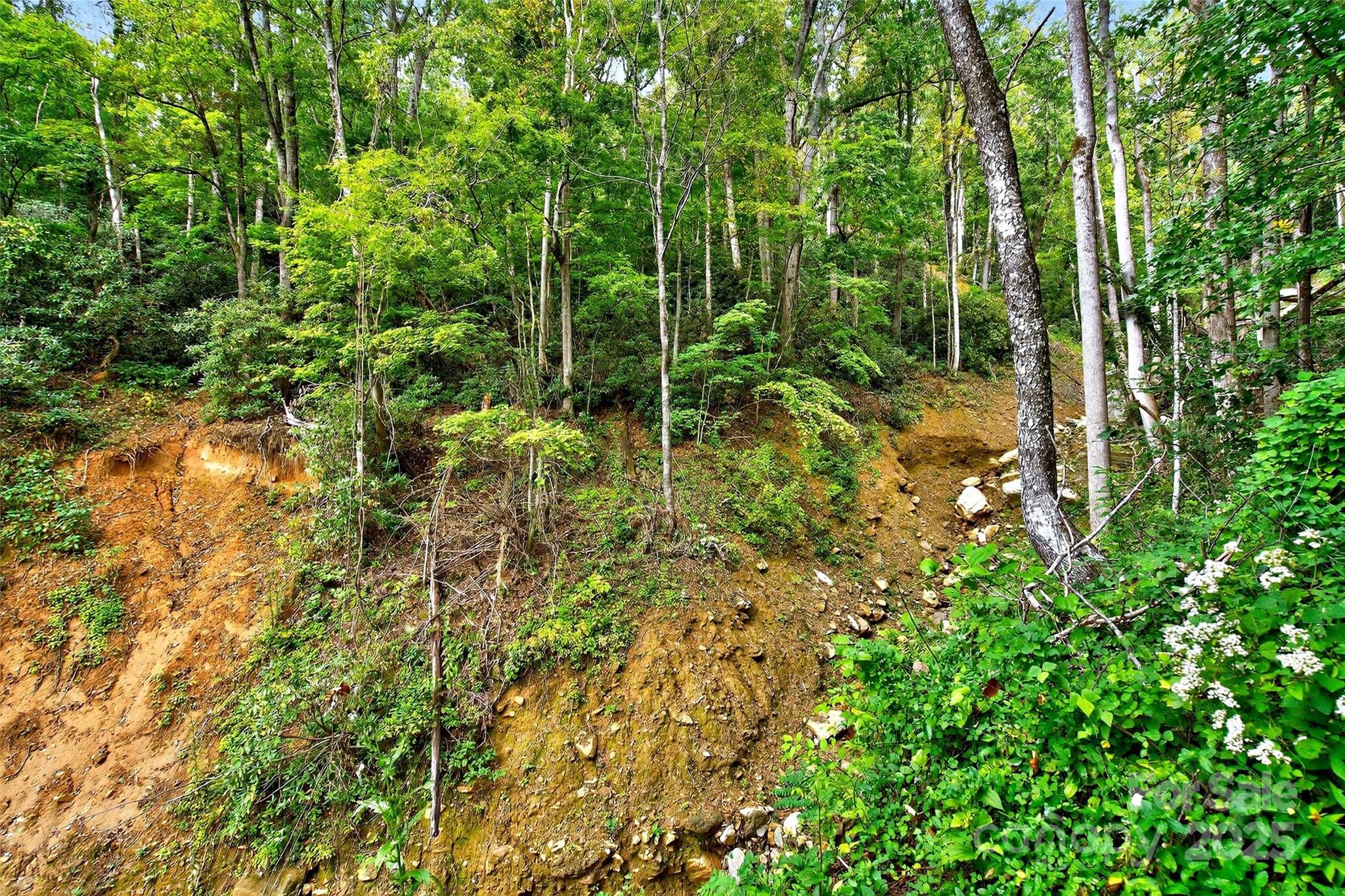 Linville Falls Mountain Club and Preserve - Land