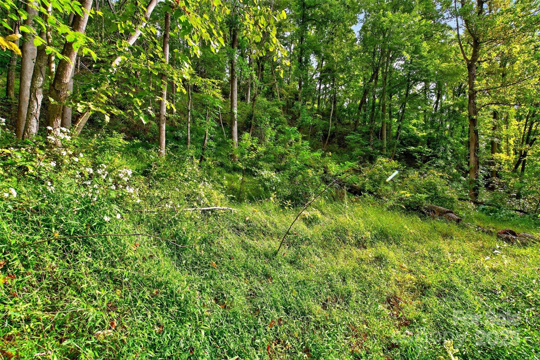 Linville Falls Mountain Club and Preserve - Land