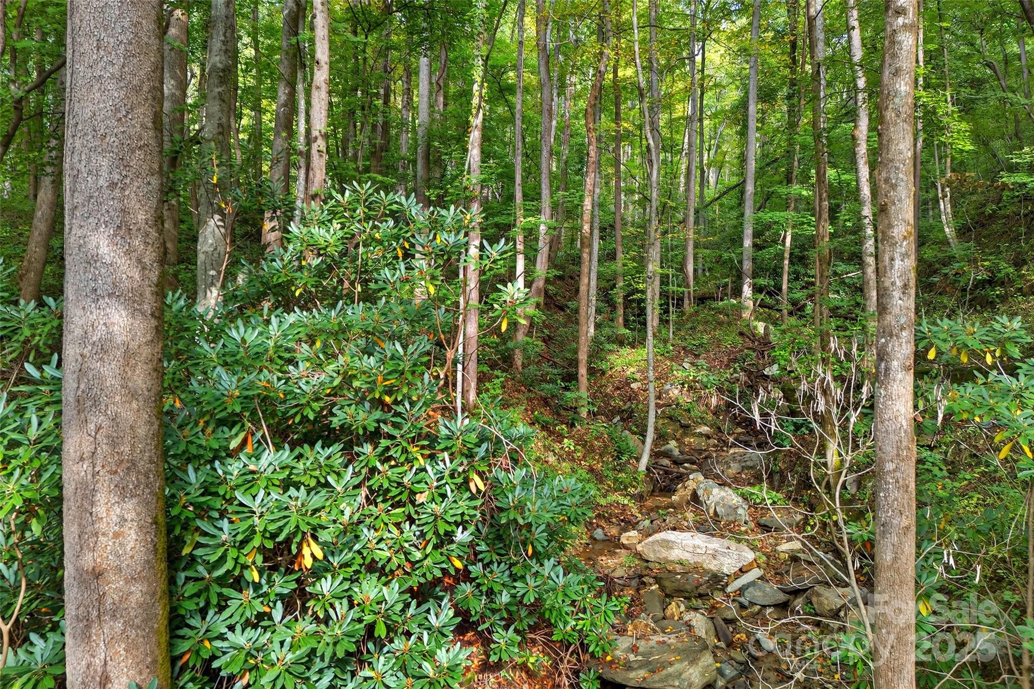 Linville Falls Mountain Club and Preserve - Land