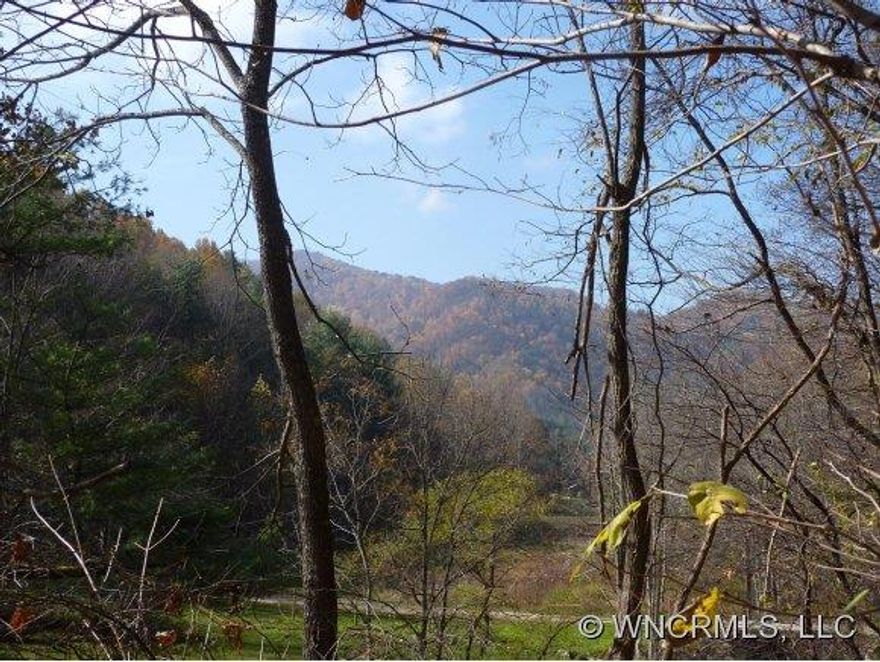 Beautiful wooded tract with gentle building site. Power and phone nearby. State paved road nearby. State stocked trout fishing in Spring Creek close to property. Great mountain getaway! Needs well and septic.