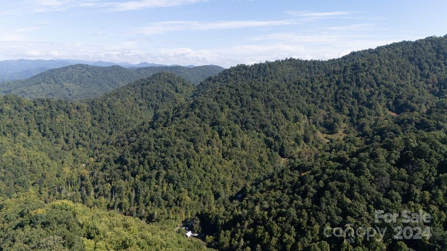 Large 36.55 acreage tract nestled in the heart of Madison County, this property offers a rare opportunity for those seeking privacy and natural beauty. This tract offers the perfect canvas for your dream home or development project with this expansive acreage in the picturesque Beech Glen area of Madison County. There is ample space for a single-family home or larger development possibilities, making it ideal for your vision. The tract also offers the natural serenity of a lush deciduous forest with abundant wildlife. The top of the land offers stunning panoramic views of the surrounding mountains. This tract also offers a convenient Location: Just minutes from Mars Hill and Burnsville, and only 30 minutes to Asheville and 45 minutes to Johnson City, TN, combining seclusion with easy access to amenities. Don’t miss this unique opportunity to own a piece of paradise in Madison County!