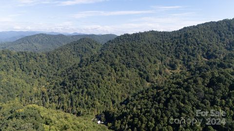 9999 Kelses Valley Drive Mars Hill NC 28754
