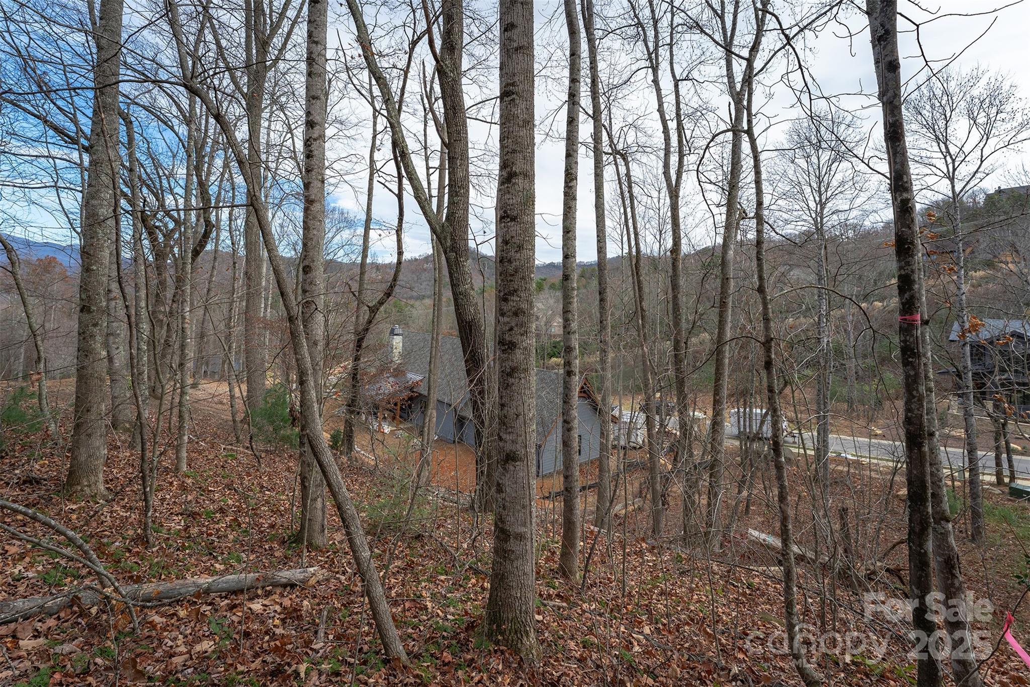 The Settings Of Black Mountain - Land