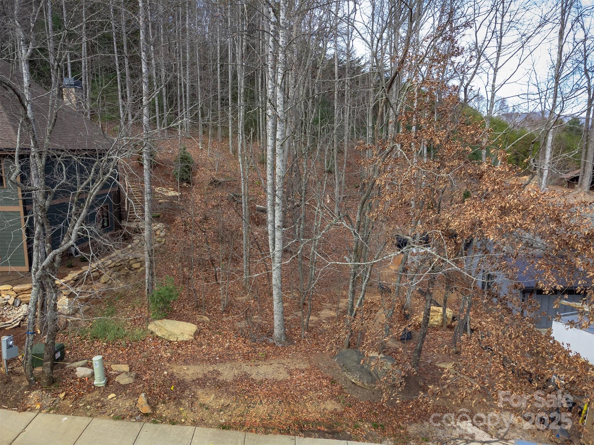 The Settings Of Black Mountain - Land