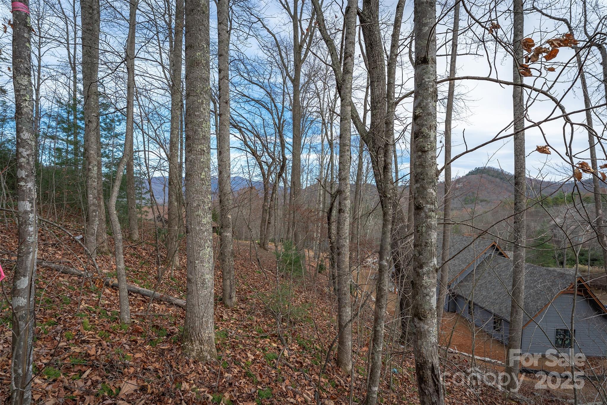 The Settings Of Black Mountain - Land