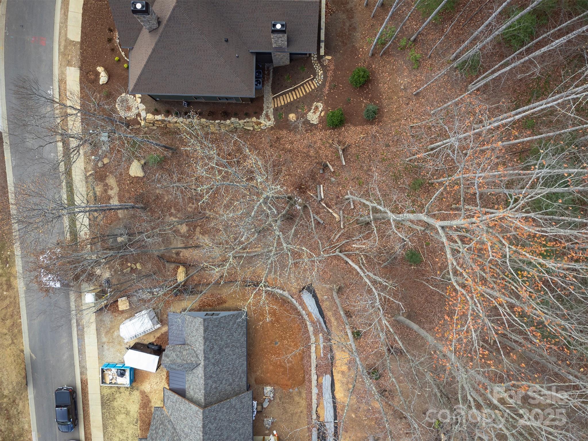 The Settings Of Black Mountain - Land