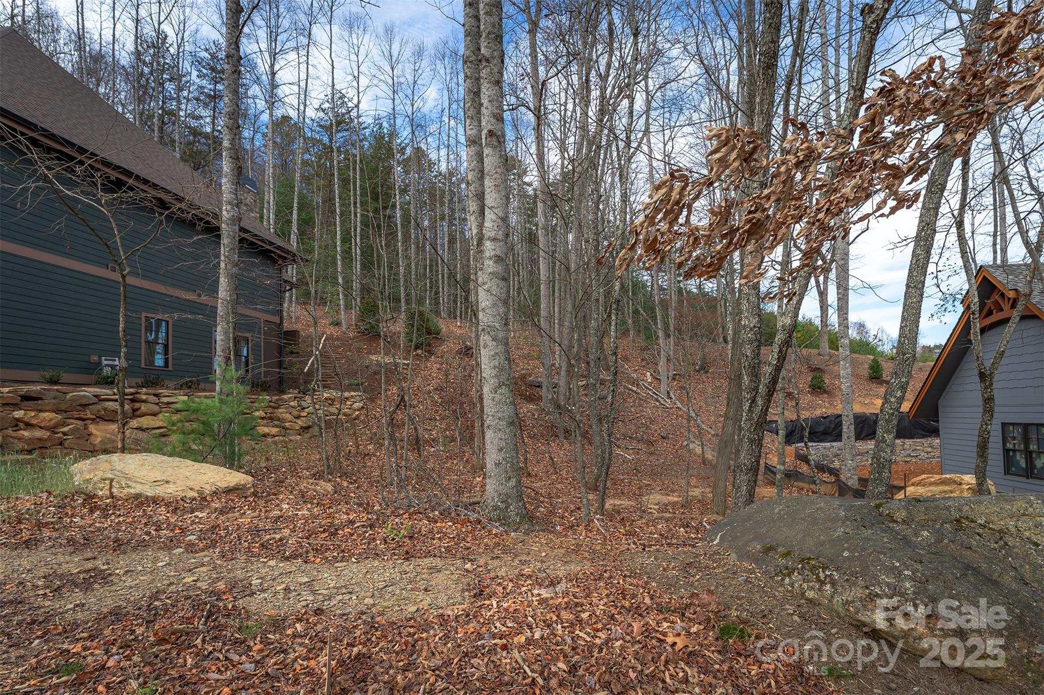 The Settings Of Black Mountain - Land