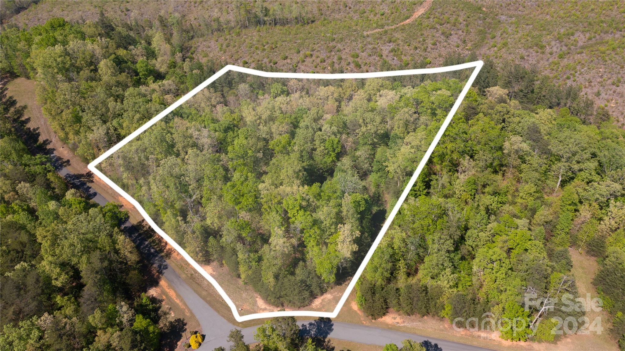 99999 Shady Bark Lane 41