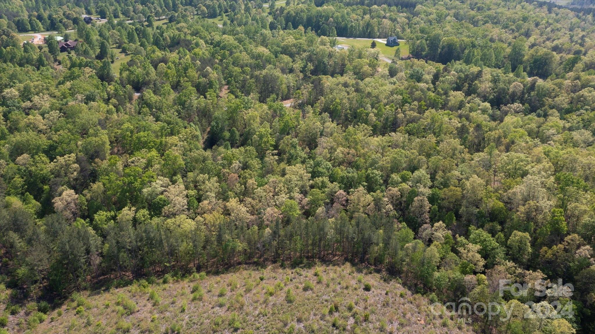 Ole Plantation - Land