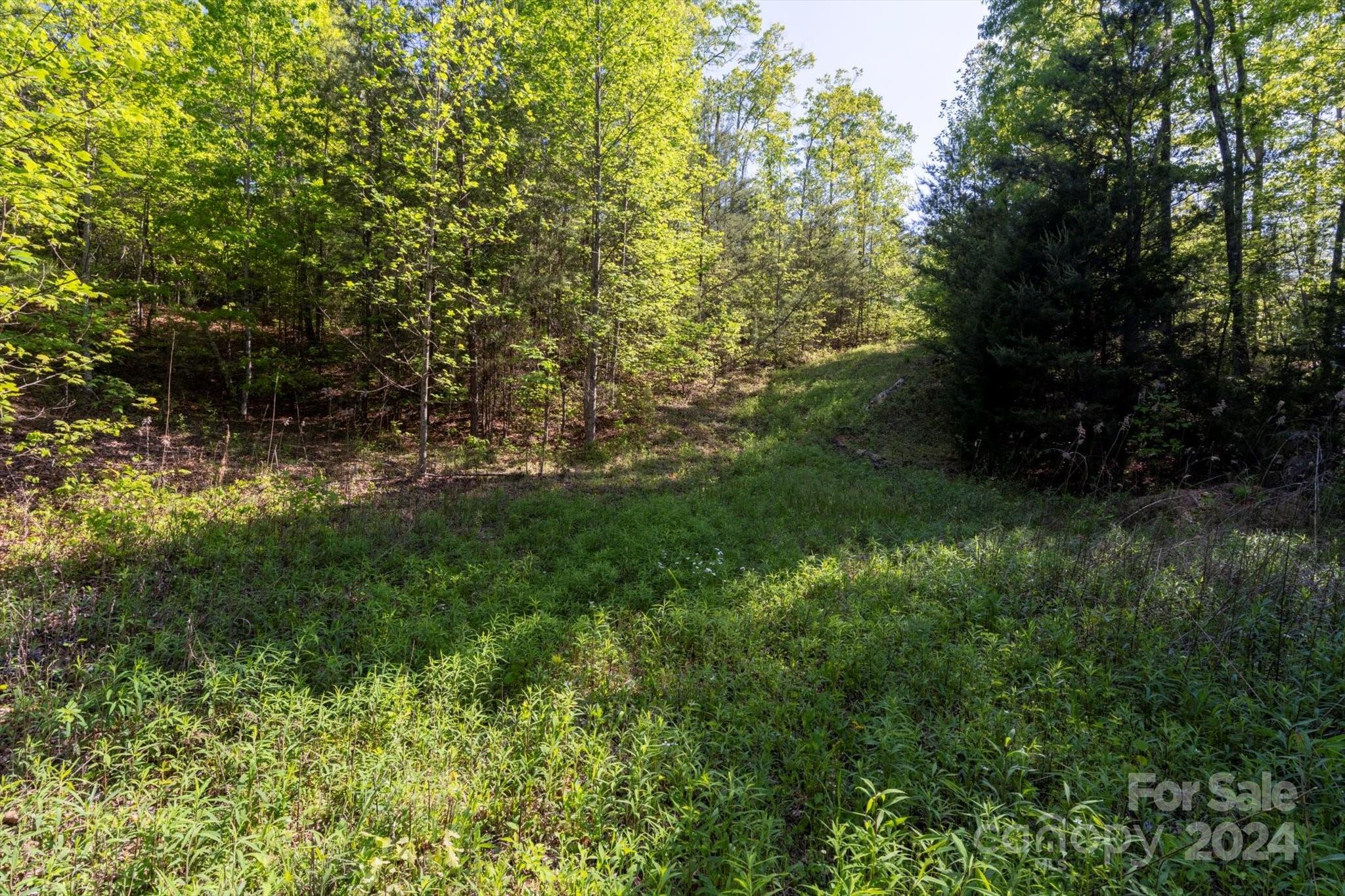 Ole Plantation - Land