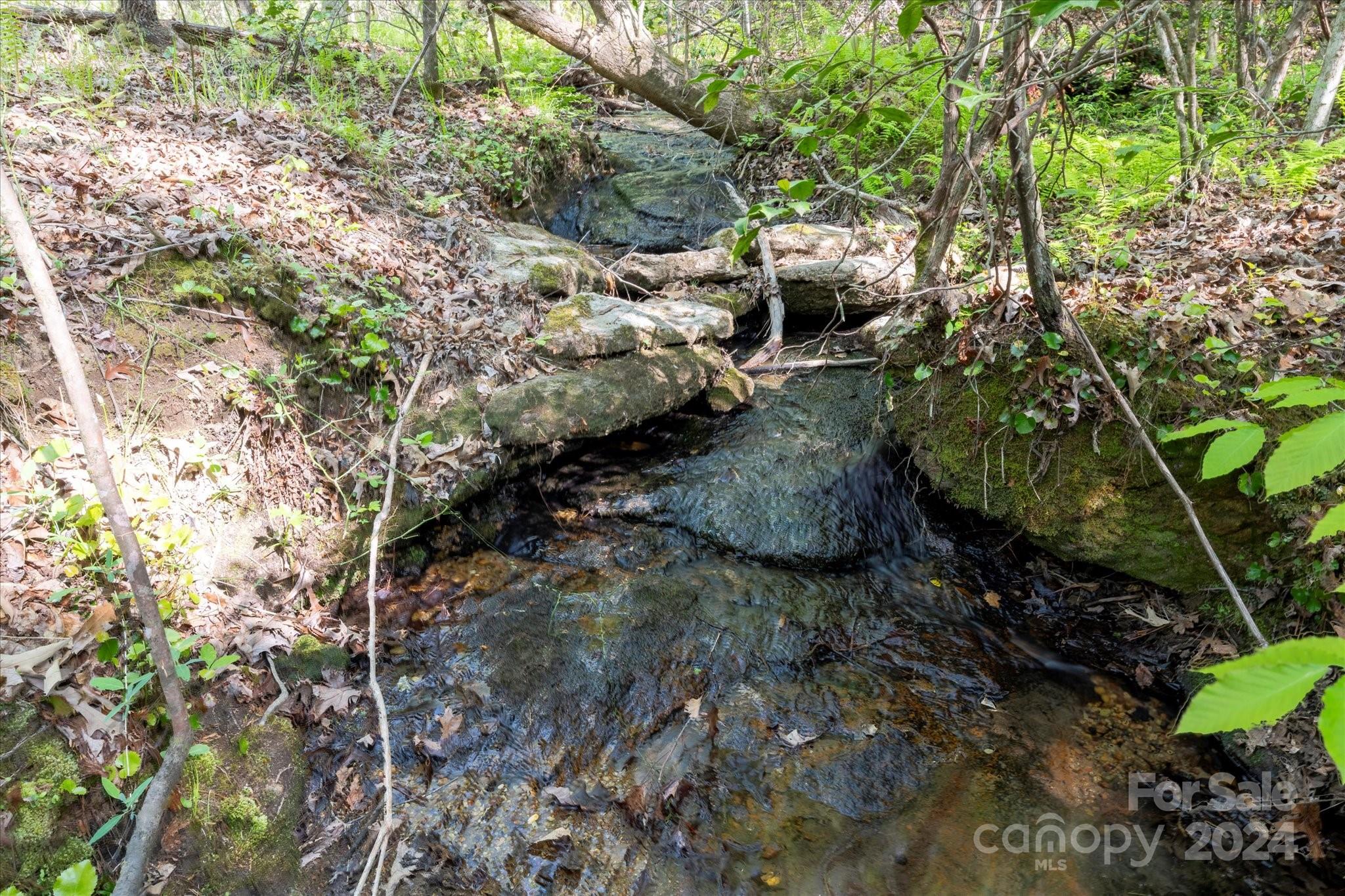 99999 Shady Bark Lane 41