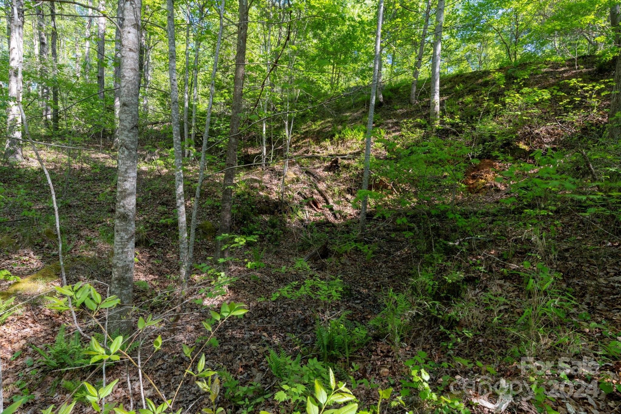 Ole Plantation - Land