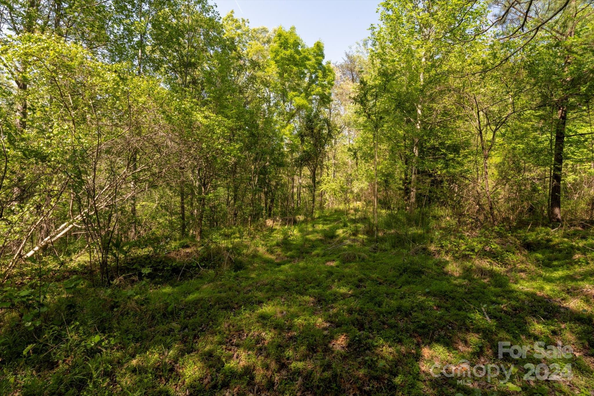 Ole Plantation - Land