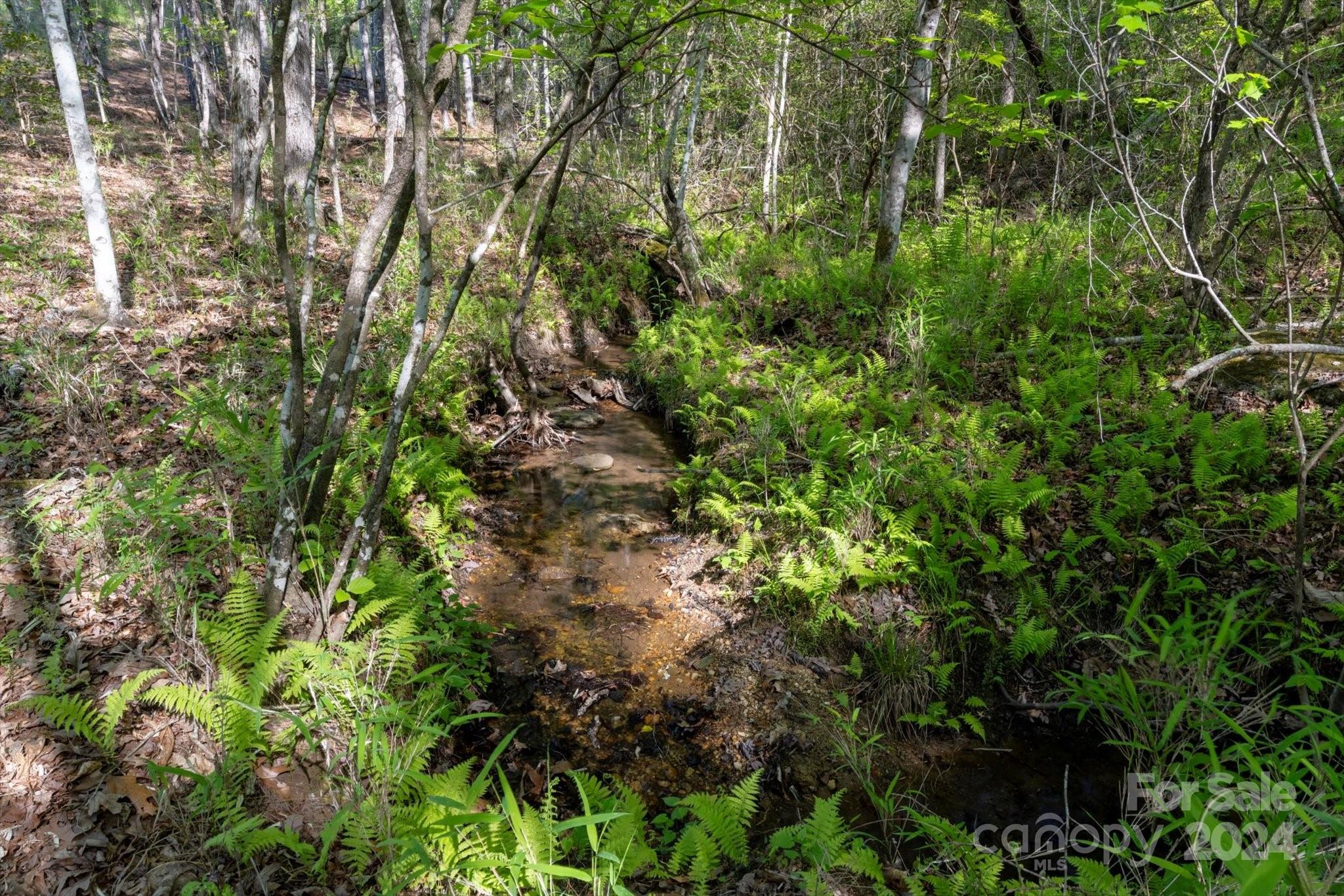 99999 Shady Bark Lane 41