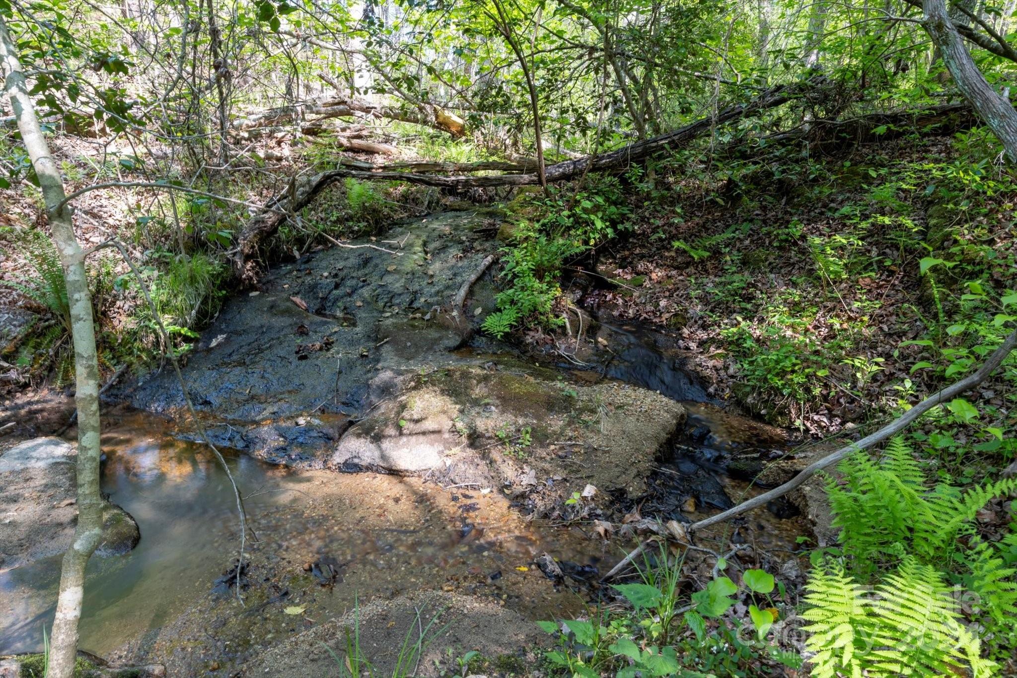 Ole Plantation - Land