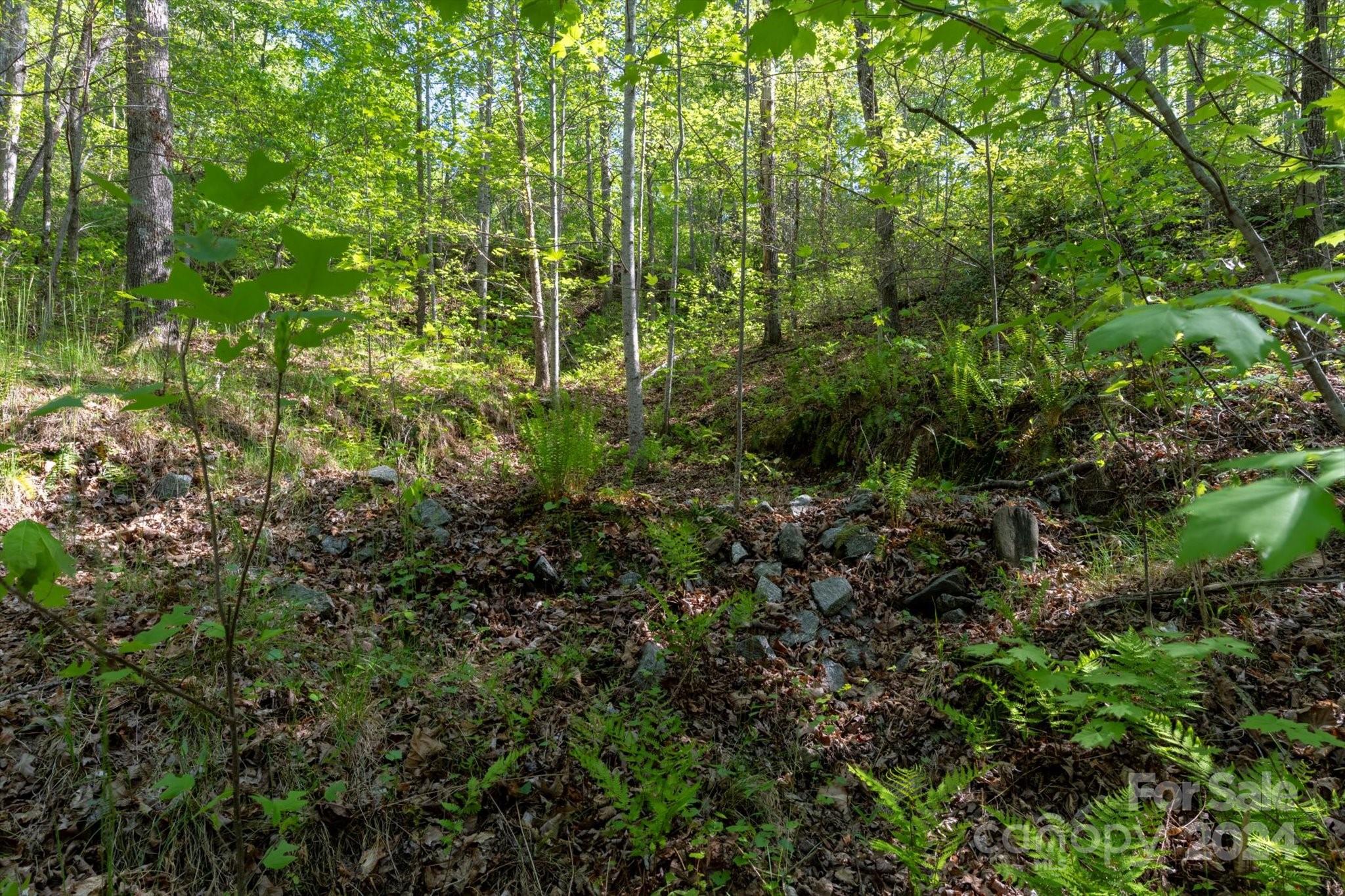 Ole Plantation - Land