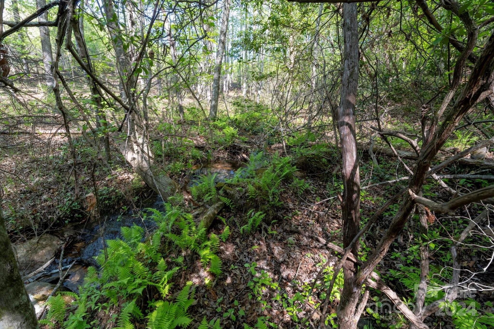 Ole Plantation - Land