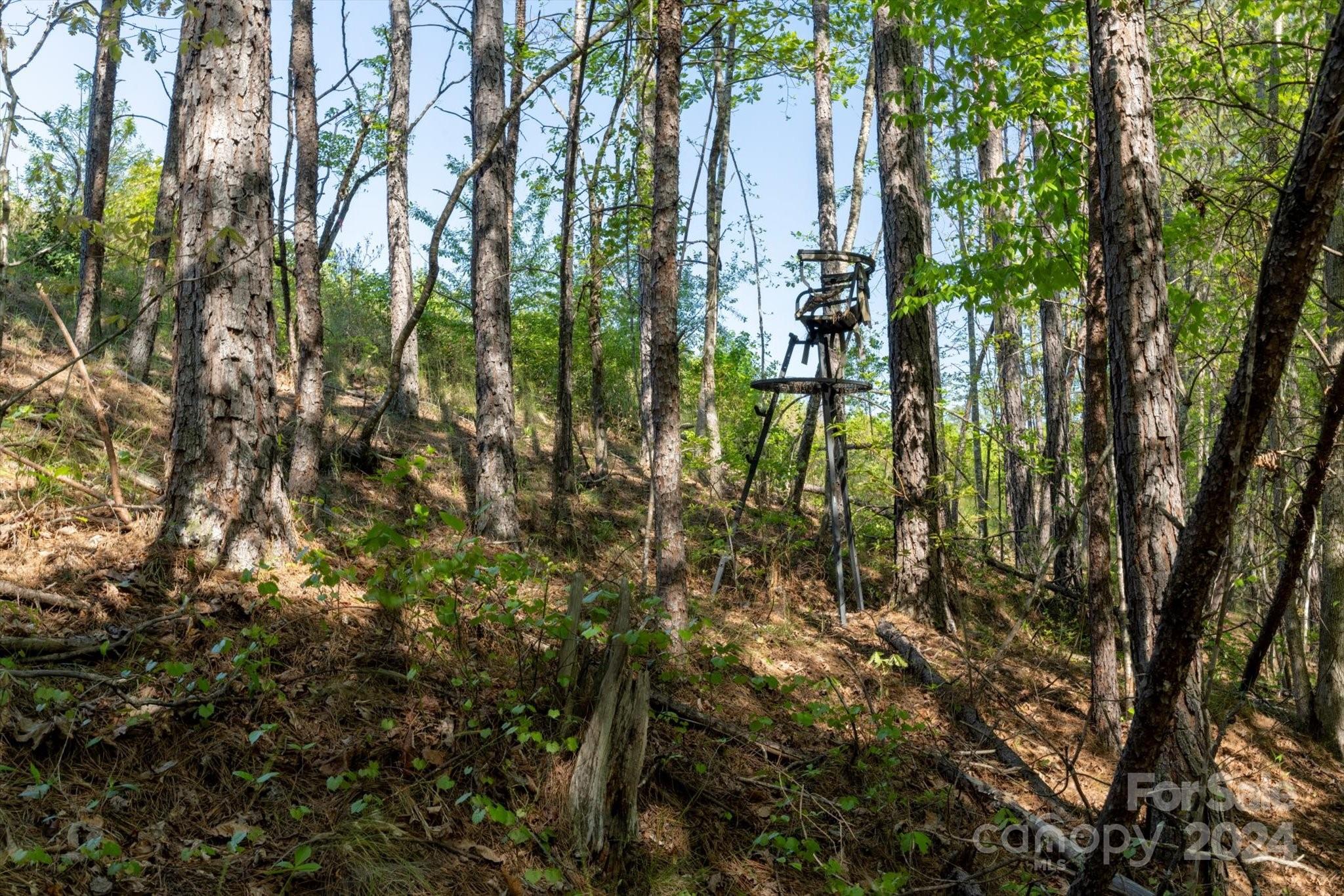 Ole Plantation - Land