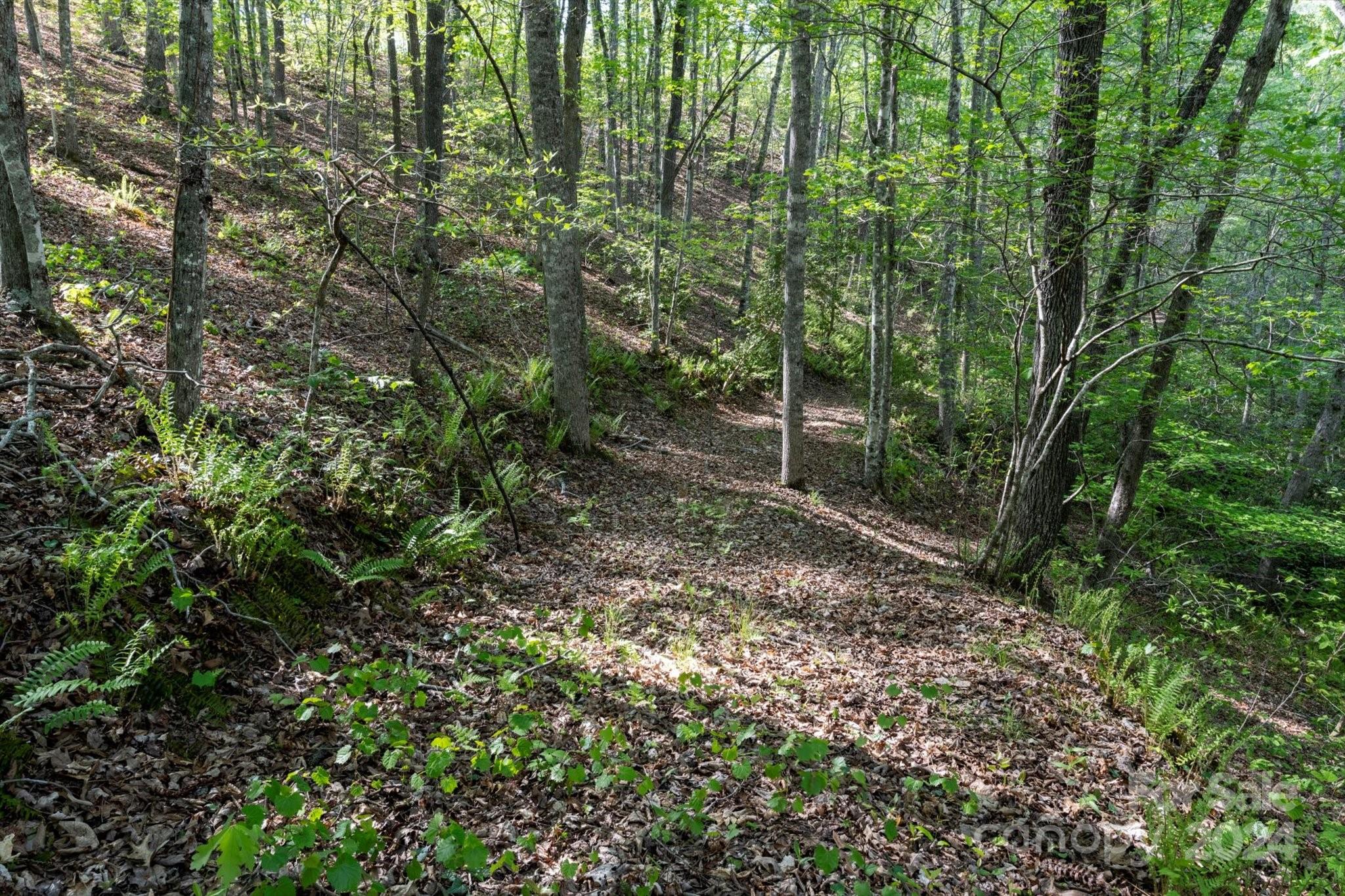 Ole Plantation - Land