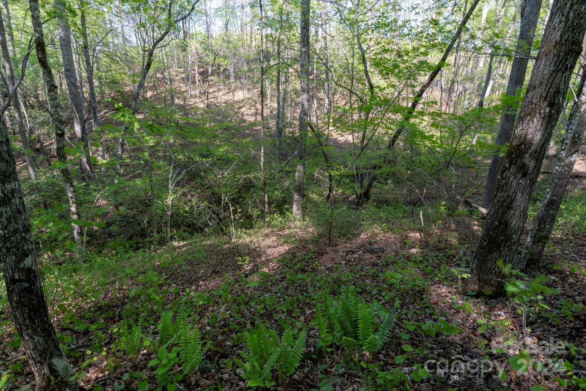 Ole Plantation - Land